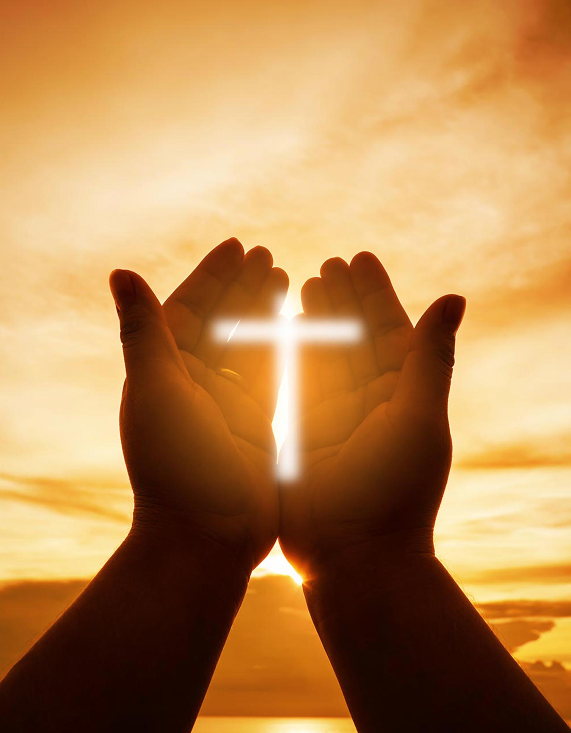 home4-image2-copyright